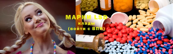 хмурый Белокуриха