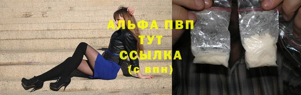 СК Зеленокумск