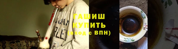 хмурый Белокуриха
