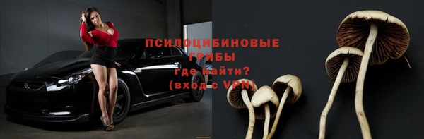 дурь Богородск