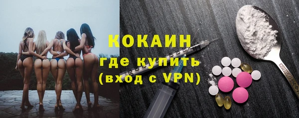 хмурый Белокуриха