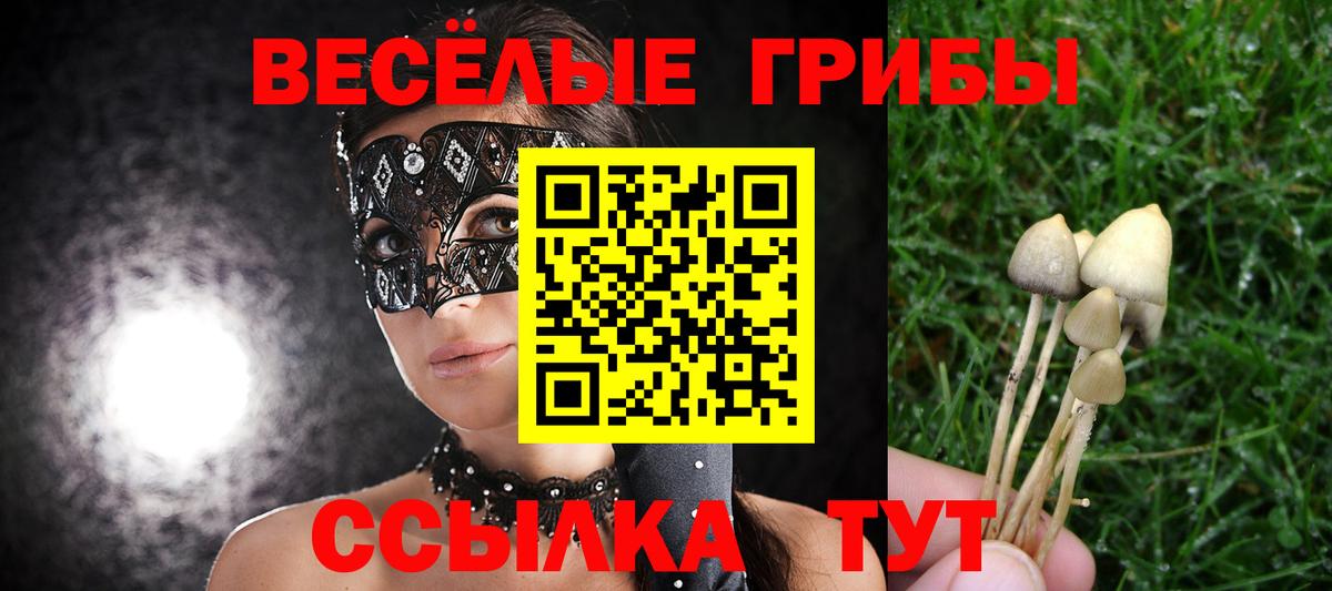 Псилоцибиновые грибы прущие грибы Бугульма